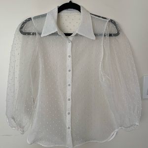 Zara Organza Button Down Blouse